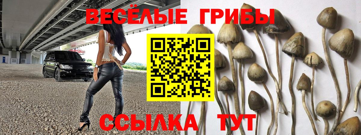 Галлюциногенные грибы GOLDEN TEACHER Знаменск