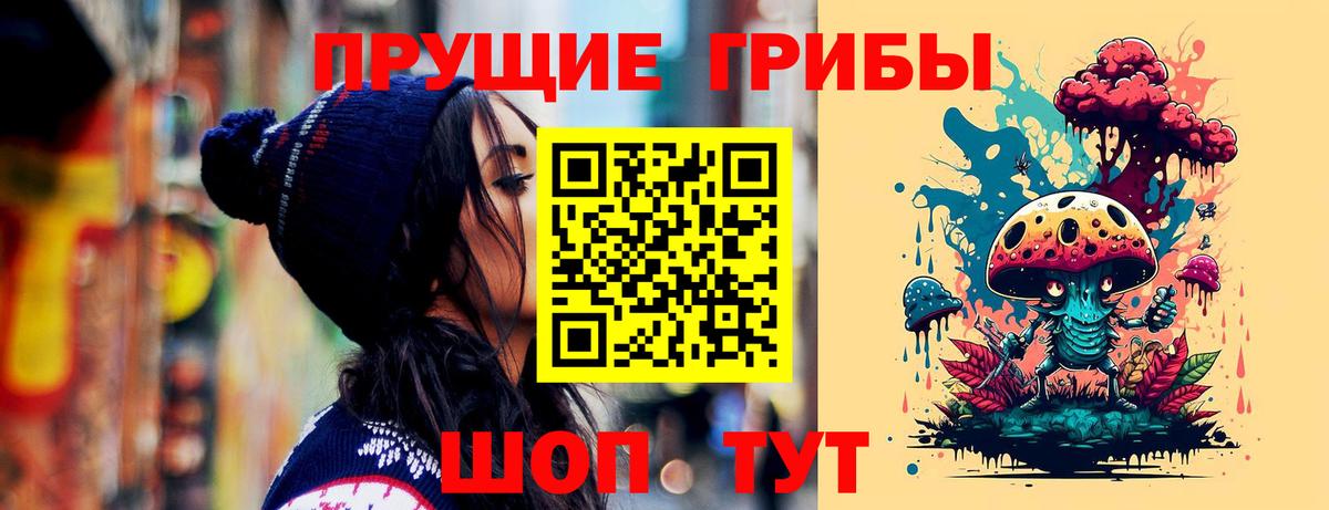 Галлюциногенные грибы Magic Shrooms  магазин продажи наркотиков  Знаменск  Псилоцибиновые грибы ЛСД  Вход с VPN 